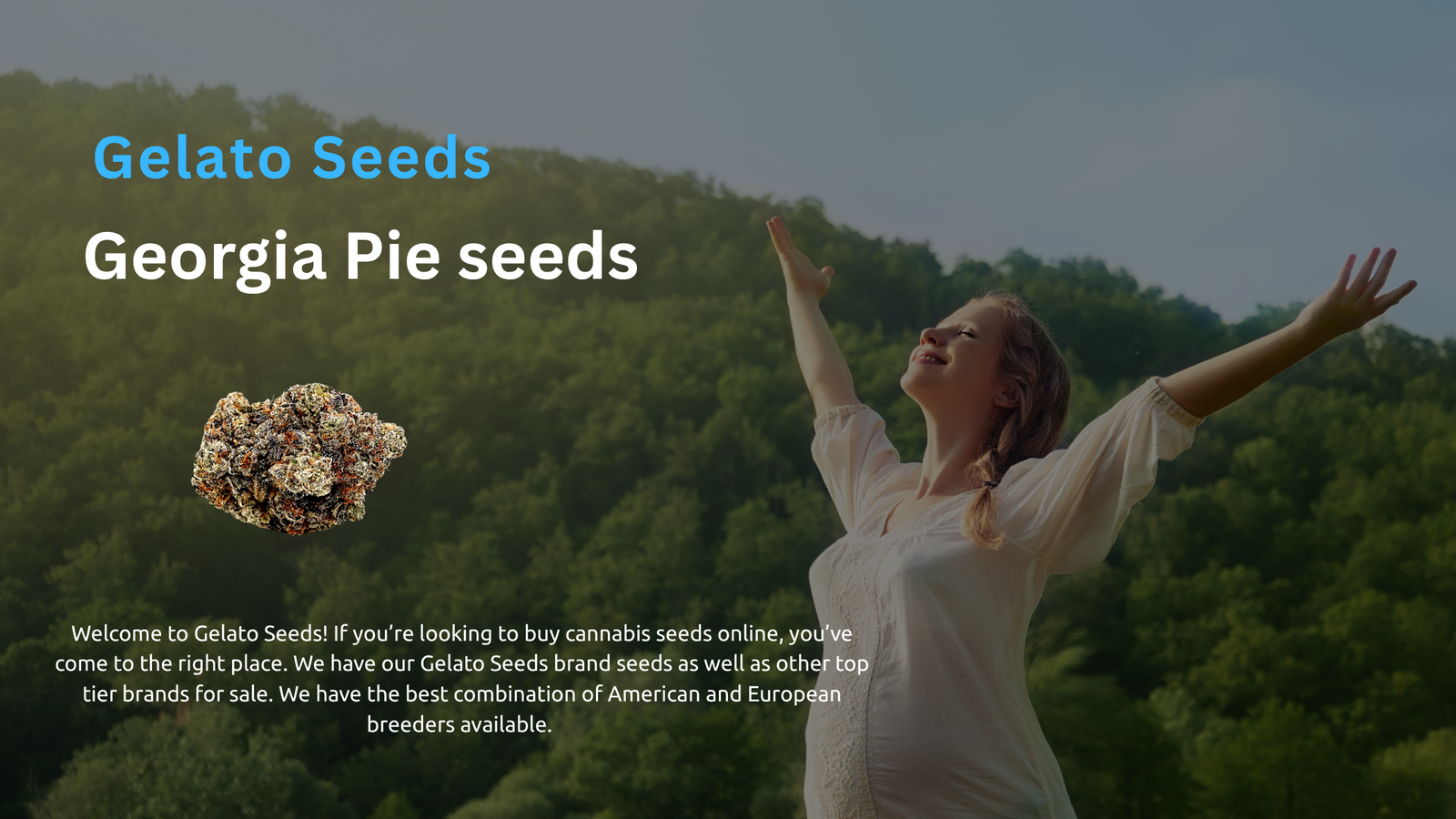 Georgia Pie Strain