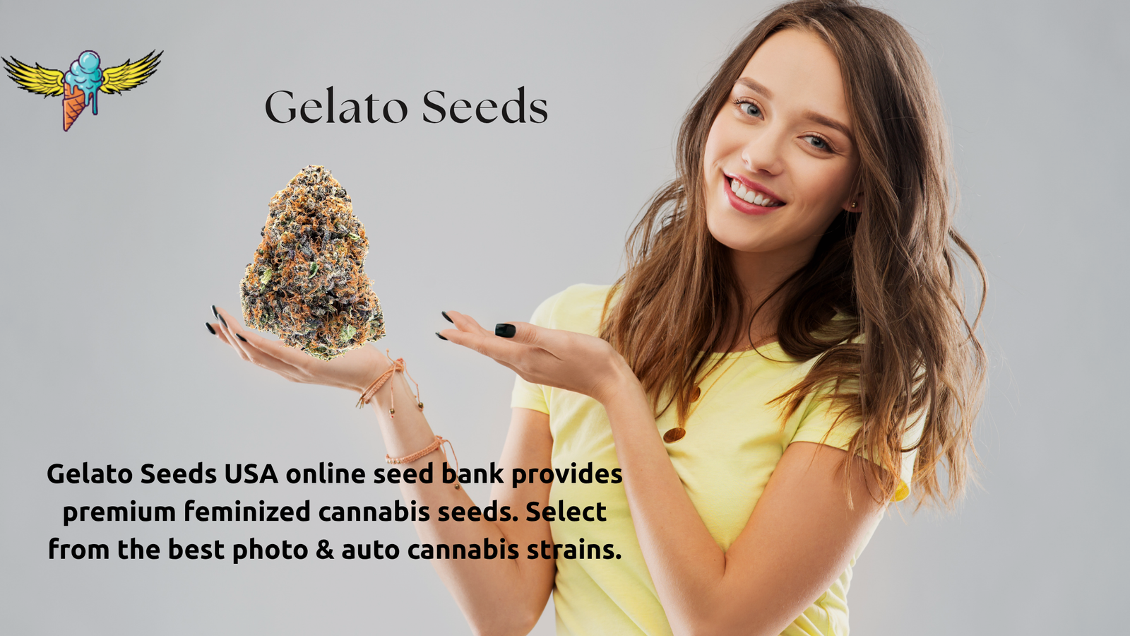 Gelato 41